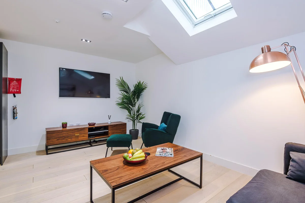 Hilltop apartment modern living room with skylight